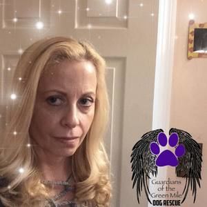 Meet your Posher, Diane